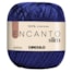 Fio Encanto Slim 100% Viscose 100g Com 240 Metros Círculo