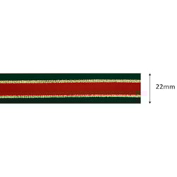 Fita de Cetim Natalina 22mm Com 10 Metros LN005 Progresso