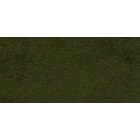 0419 0419